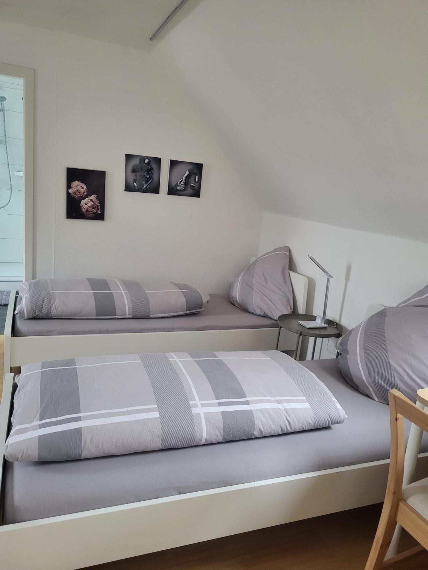 A&V Apartments Gemuetliche Rheinblick Wohnung Apt Daisy Duisburgo Exterior foto